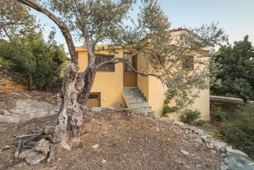 Beautiful Cottage Over-Viewing Samos Bay. Samos Town Esterno foto